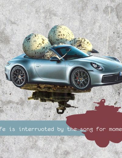 3- Collage for Picnic Player by Dima Dobrovolskij