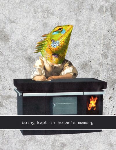 5 - Collage for Picnic Player by Dima Dobrovolskij