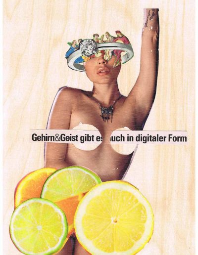 Gehirn und Geist gibt es euch in digitaler Form - 100 Vorurteile - Collage, A4 Holz - Lackiert - von Dima Dobrovolskij