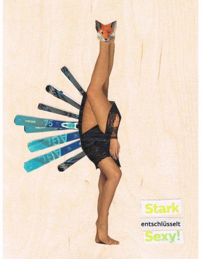 Stark entschlüsselt sexy - 100 Vorurteile - Collage, A4 Holz - Lackiert - von Dima Dobrovolskij