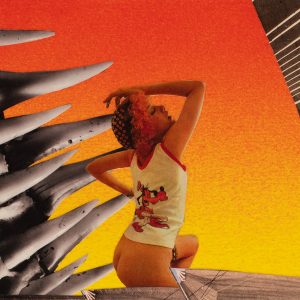 Originalcollage „Bone Vest“ in Vorderansicht von Dima Dobrovolskij